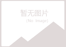 合川字迹设计有限公司